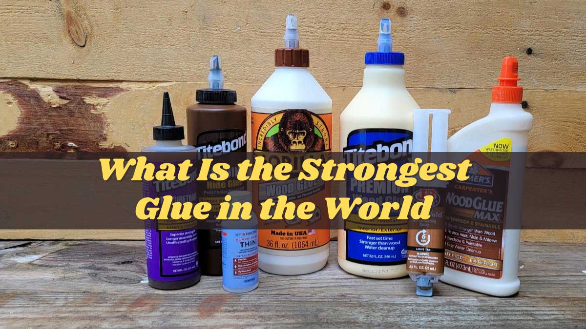 What Is the Strongest Glue in the World